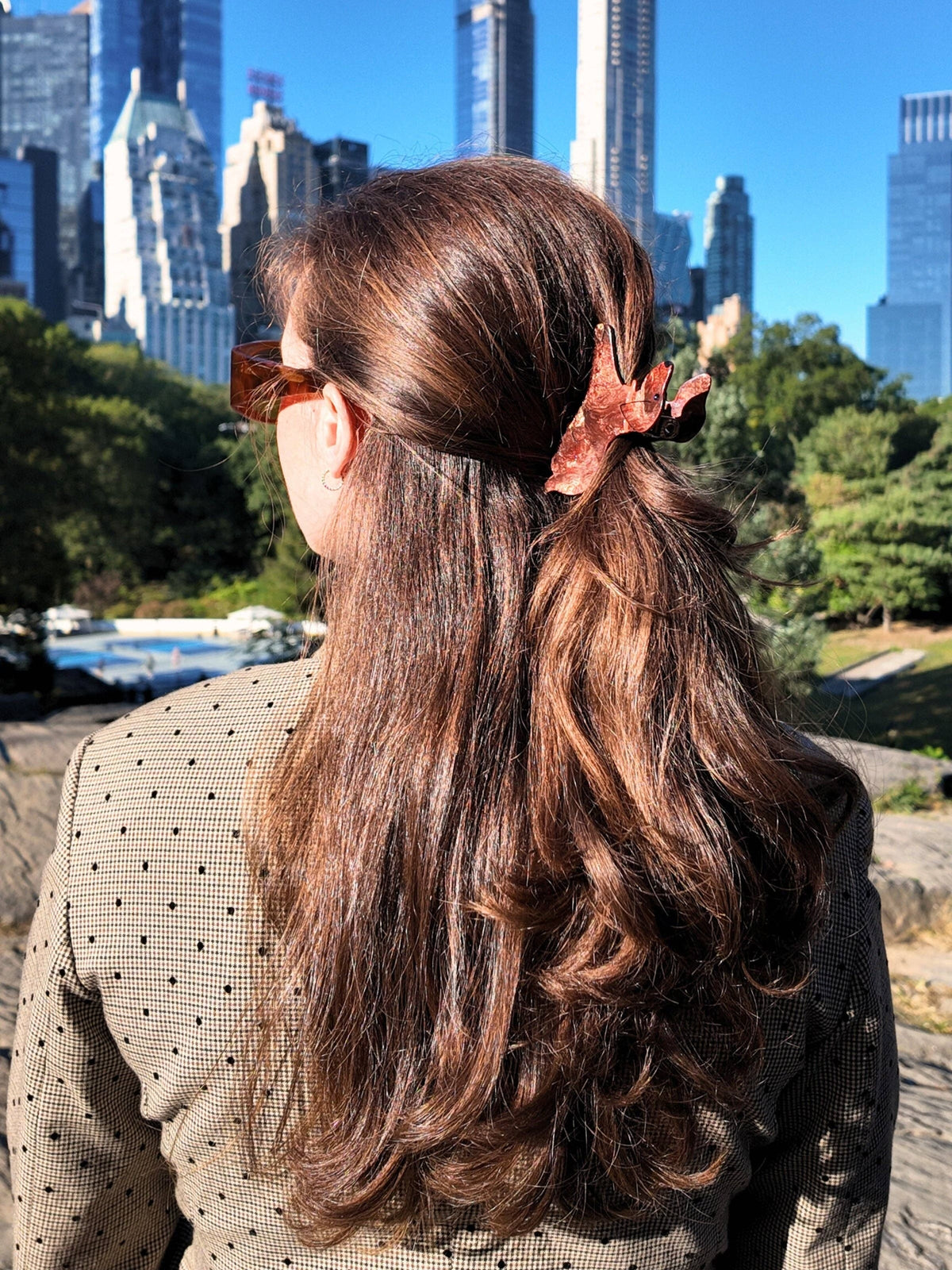 Dachshund Hair Clip