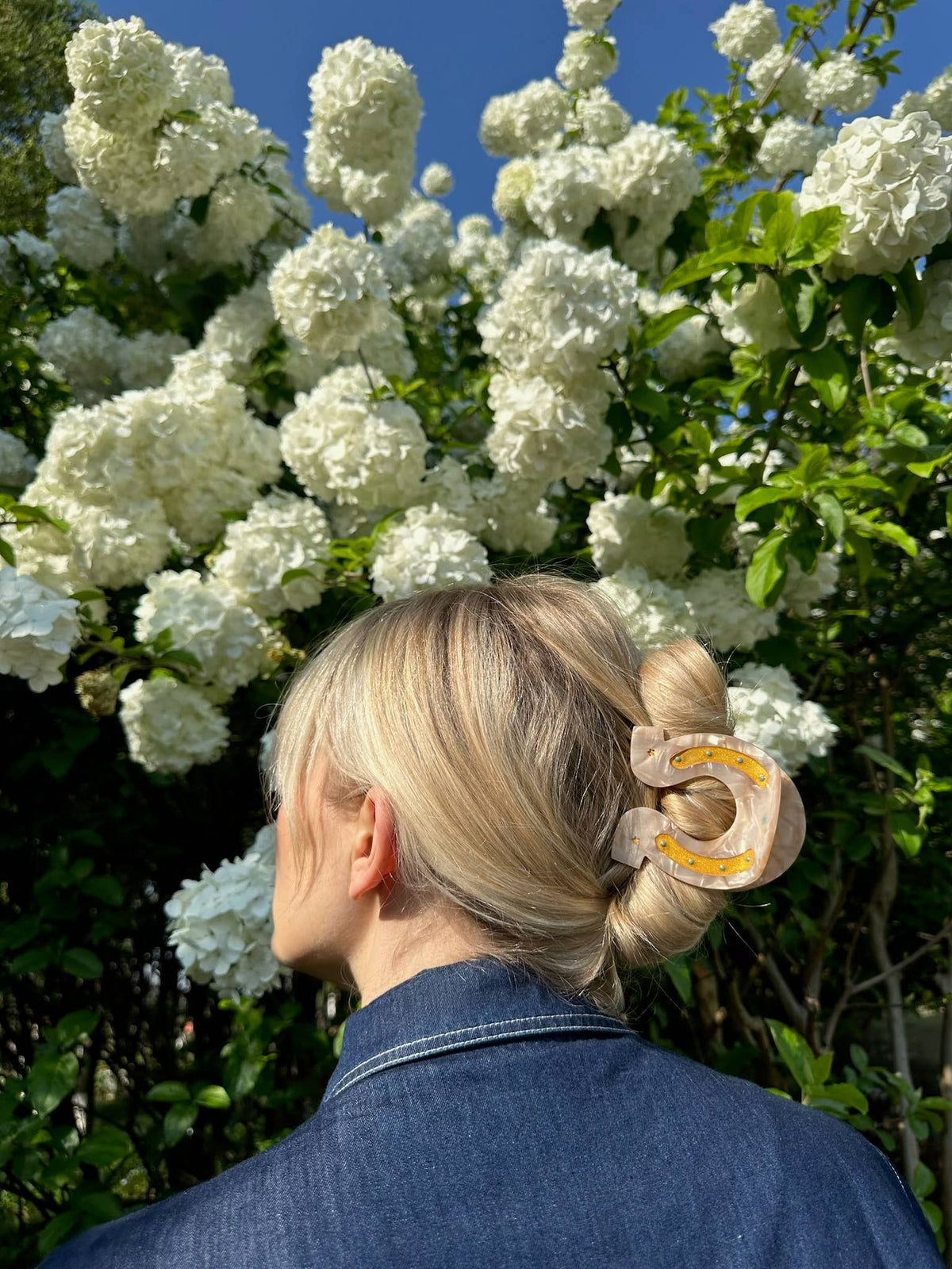 Horseshoe Hair Clip