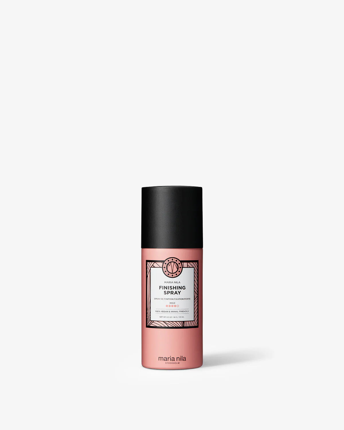 Finishing Spray Travel